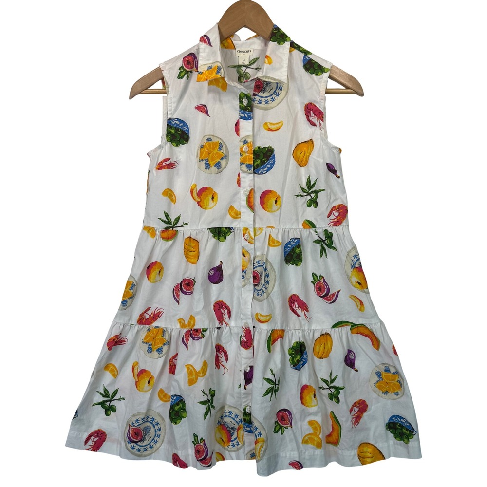 Crewcuts J. Crew Girls Sleeveless Tiered Shirt Dress Fruit Seafood Print Size 14